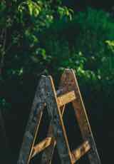 Bild3